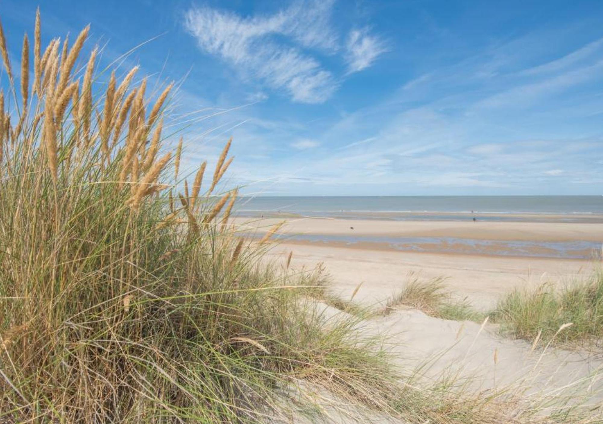 Salty - Vakantiehuisje Op De Grens Van Bredene-De Haan エクステリア 写真